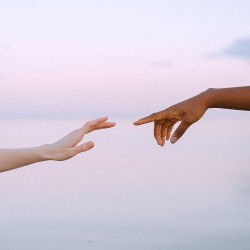 Bioenerji Eğitimi Bioenerji Eğitimi