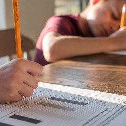 Çocuk Değerlendirme Testleri Uygulayıcı Eğitimi Çocuk Değerlendirme Testleri Uygulayıcı Eğitimi