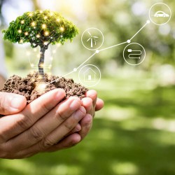 Sürdürülebilirlik ve Marka Yönetimi Kursu