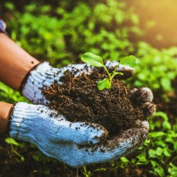 Organik Tarım Eğitimi