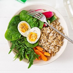 Sağlıklı Beslenme Koçluğu Eğitimi