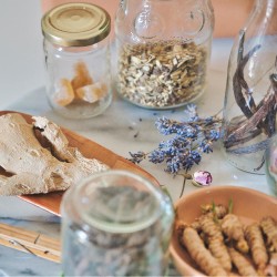 Tıbbi Aromatik Bitki Yetiştiriciliği Kursu